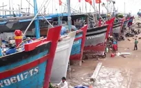 Giảm hàng nghìn tàu cá để tránh tận diệt nguồn thủy sản