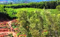 Hành trình tìm mộ liệt sĩ Việt Nam của các cựu binh Mỹ