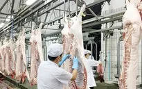 Sản lượng thịt lợn của Việt Nam đứng thứ 6 thế giới
