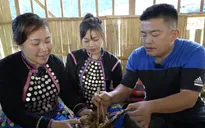 Du lịch trải nghiệm và nguồn cảm hứng mang tên Sapa TV