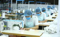 [INFOGRAPHIC] 6 tháng năm 2023: 5 mặt hàng xuất khẩu trên 10 tỷ USD