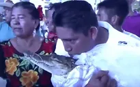 Thị trưởng ở Mexico kết hôn với cá sấu