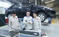 Positive signs from overseas labour market