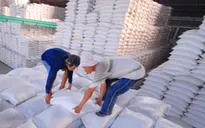 Cân đối xuất khẩu đảm bảo an ninh lương thực