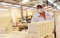 Doanh nghiệp gỗ "xanh hóa" sản xuất để "săn" đơn hàng