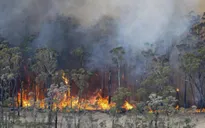 Máy lọc không khí giúp bảo vệ hàng triệu người Australia khỏi khói bụi cháy rừng