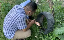 Đắk Lắk ghi nhận trường hợp thứ 3 mắc bệnh viêm não Nhật Bản