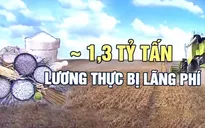 Thế giới vứt đi 100 tỷ USD mỗi năm chỉ vì lãng phí thực phẩm