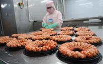 Doanh nghiệp thủy sản đối diện thách thức chưa từng có