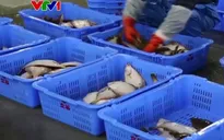 Hàn Quốc tiếp tục cấm nhập hải sản từ Fukushima