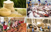 Ngành nông nghiệp hướng tới mục tiêu xuất khẩu 55 tỷ USD