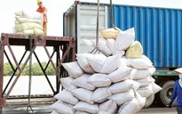 Ngành gạo thúc đẩy xuất khẩu