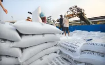 Đa dạng hóa thị trường xuất khẩu gạo