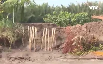 Người dân Cồn Phụng kêu cứu vì sạt lở