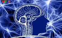 Biến đổi khí hậu có thể khiến não người bị thu nhỏ
