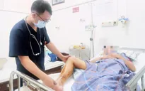 Cảnh báo tình trạng rắn cắn vào mùa hè