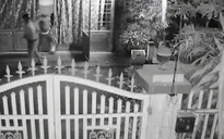 Nạn trộm cắp tài sản có dấu hiệu gia tăng tại Đồng Tháp