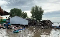 Sạt lở đất ven sông tại Cà Mau, 4 căn nhà thiệt hại hoàn toàn