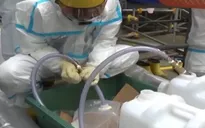 Hàn Quốc kiểm chứng về xả thải từ Fukushima