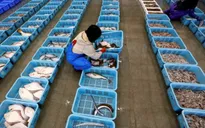Trung Quốc cấm nhập khẩu thực phẩm từ Nhật Bản