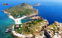 Ngăn chặn nạn săn bắt chim yến trái phép