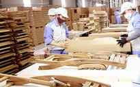 Doanh nghiệp chế biến gỗ đẩy mạnh xuất khẩu