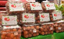 Vải thiều Bắc Giang được xuất khẩu chính ngạch sang Thái Lan