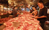 Giá lợn hơi gần mốc 70.000 đồng/kg