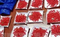 Điện Biên: Bắt giữ đối tượng vận chuyển 96.000 viên ma túy tổng hợp và 11kg ma túy đá