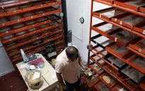 Ngân hàng lưu trữ hạt giống tại Costa Rica