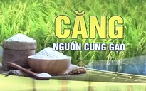 Giá gạo tăng ảnh hưởng đến hàng tỷ người