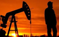 “Vàng đen” đón nhận chuỗi tuần tăng giá dài kỷ lục