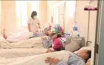 Bộ Y tế yêu cầu cấp thiết phòng chống sốt rét