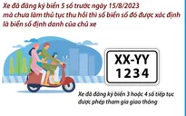 Biển số xe được cấp và quản lý theo mã định danh của chủ xe từ 15/8