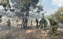 Cháy rừng phòng hộ tại huyện Phong Điền