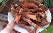 Triệu chứng ngộ độc đáng sợ do uống nước cây Mú Từn: La hét, hoảng loạn, nói nhảm, đập phá...