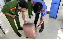 Đi Côn Đảo mua trứng vích mang về, mẹ chồng con dâu bị khởi tố