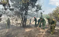 Đà Nẵng: Nguy cơ cháy rừng ở mức nguy hiểm