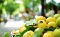 Tận hưởng tiết trời Thu Hà Nội