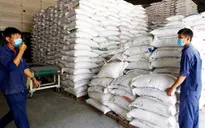 Giải pháp bình ổn thị trường gạo trong nước