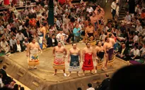 Trải nghiệm Sumo Nhật Bản thu hút du khách quốc tế