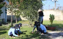 Khó khăn trong công tác cai nghiện ma túy cộng đồng tại Bà Rịa - Vũng Tàu
