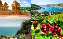Thành lập Trung tâm Xúc tiến Đầu tư, Thương mại và Du lịch Ninh Thuận