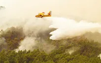 Hàng nghìn người sơ tán do cháy rừng trên đảo Tenerife của Tây Ban Nha