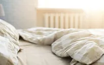 Điều gì đang ẩn nấp trên giường của bạn?