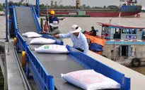 Giá chào bán gạo châu Á tăng khoảng 20% kể từ khi Ấn Độ hạn chế xuất khẩu gạo