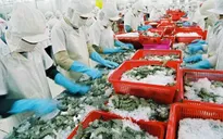 Mục tiêu xuất khẩu 55 tỷ USD ngành nông nghiệp "trong tầm tay"