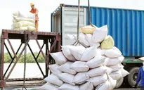 Việt Nam chủ trương tăng cường xuất khẩu gạo
