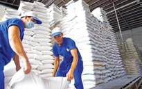 Giá gạo có thể tiếp tục tăng