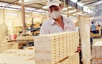 Tìm giải pháp để xuất khẩu gỗ khởi sắc